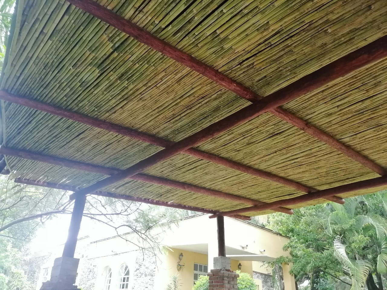 Imagen 3 de palapas y pérgolas de Morelos