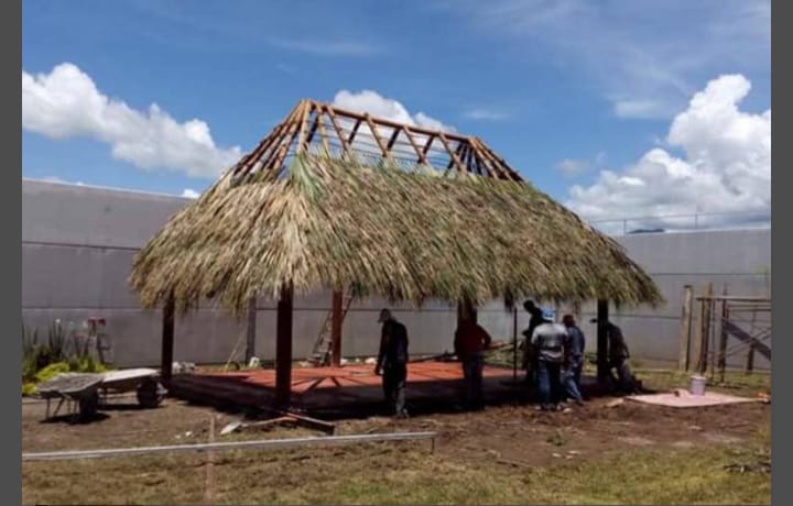 Imagen 9 de palapas y pérgolas de Morelos