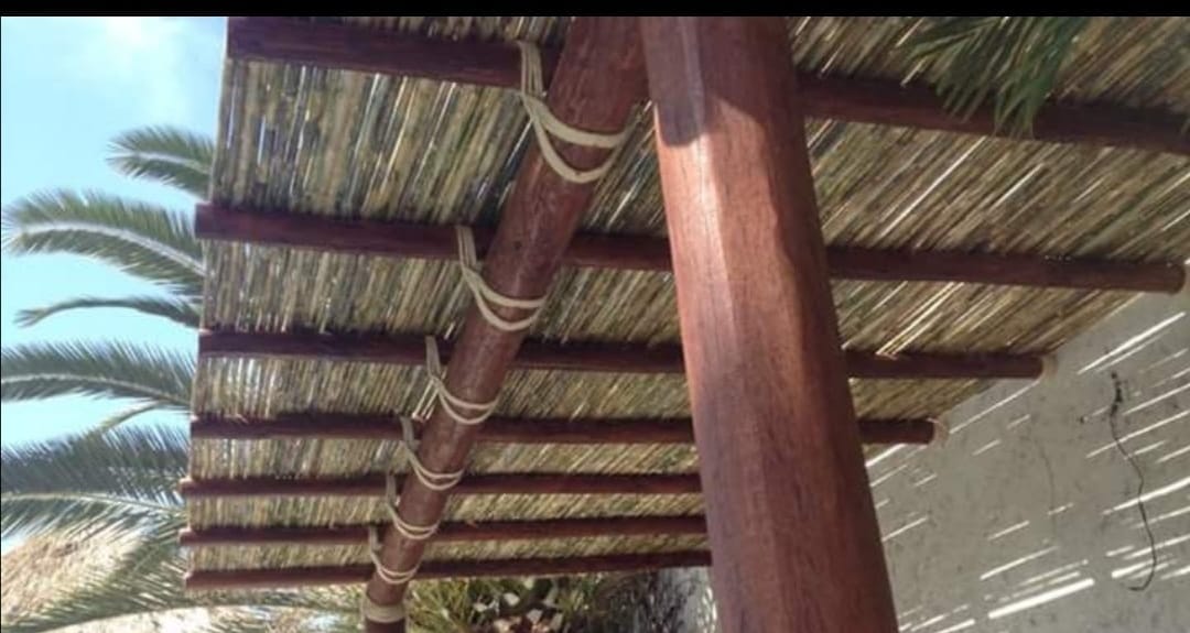 Imagen 13 de palapas y pérgolas de Morelos