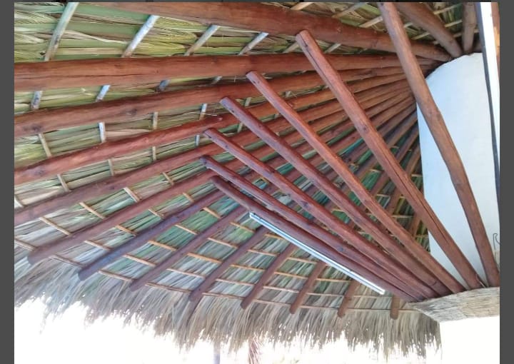 Imagen 15 de palapas y pérgolas de Morelos