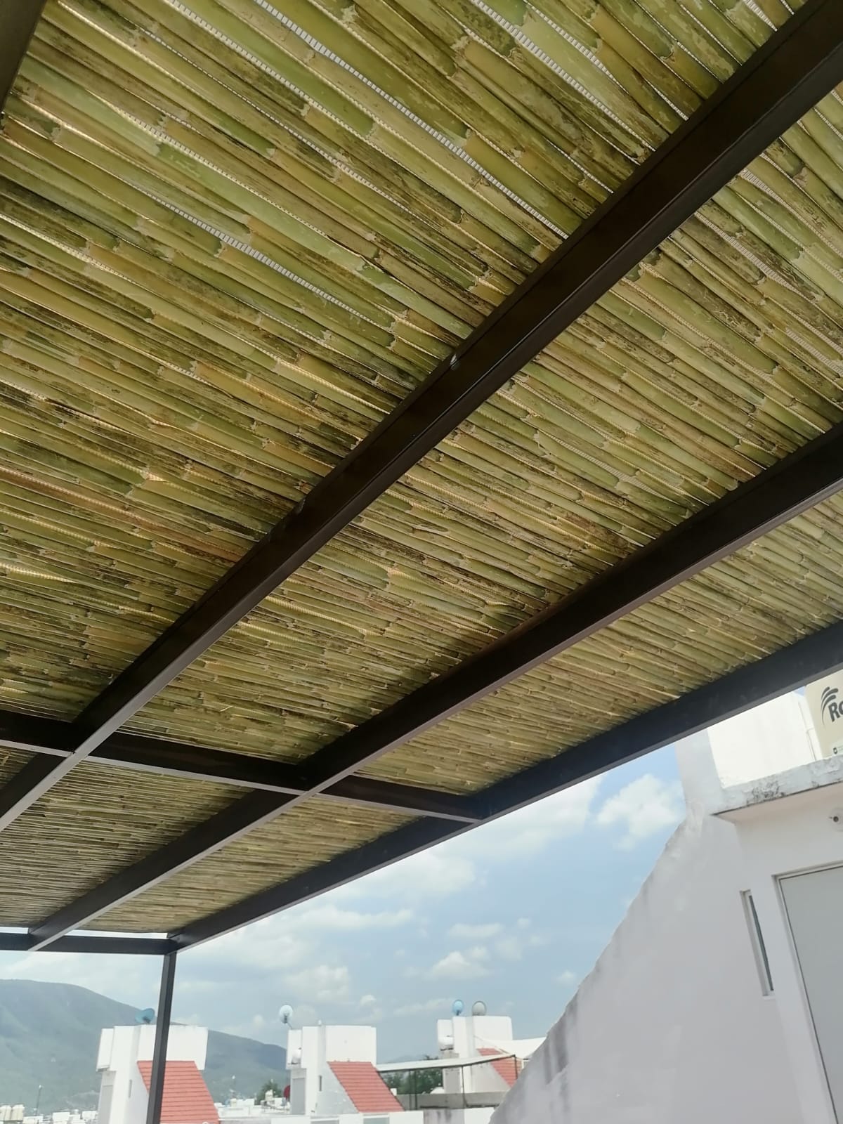 Imagen 21 de palapas y pérgolas de Morelos