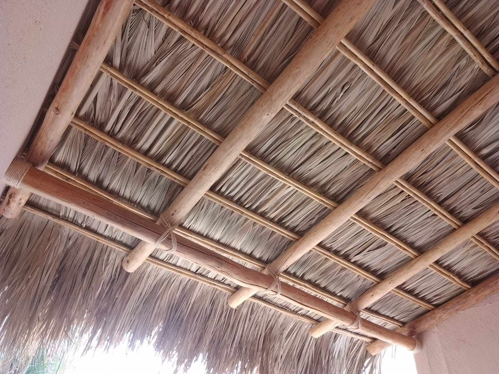 Imagen 23 de palapas y pérgolas de Morelos
