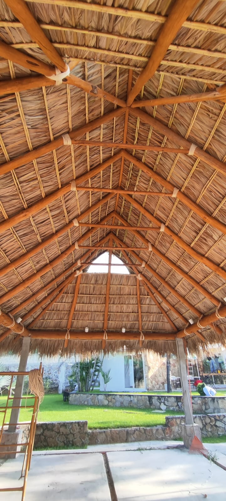 Imagen 30 de palapas y pérgolas de Morelos